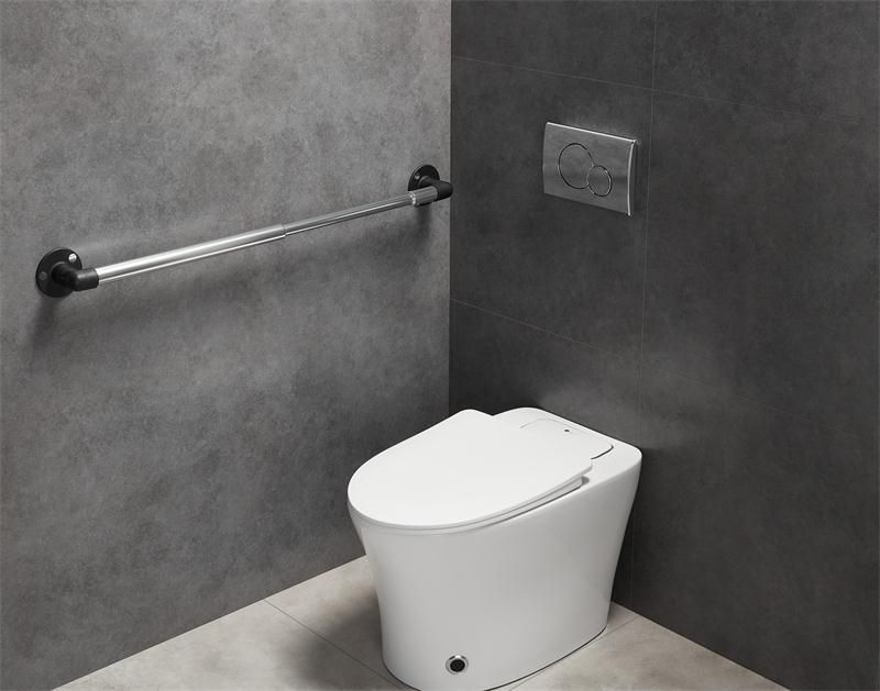 LWS 500-700  LWS 700-1000  LWS 900-1200 Adjustable Telescopic Grab Bar: The Ultimate Solution for Elderly Care in Bathrooms